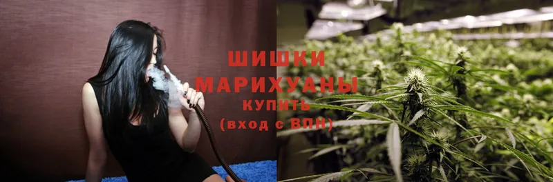 где можно купить   Руза  Канабис Ganja 